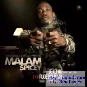 Mallam Spicey - Rude Boi Lovin